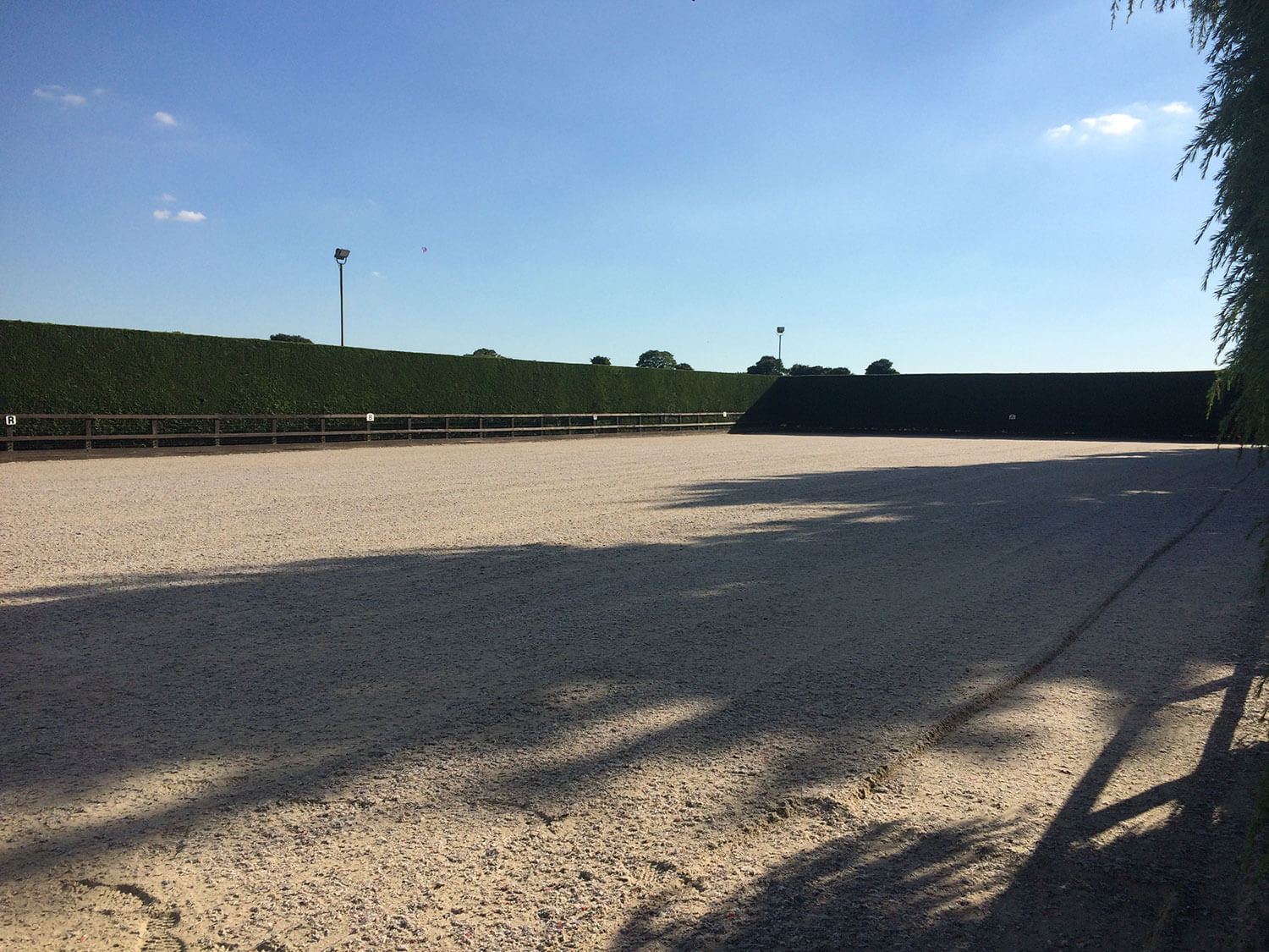 Our spacious riding arena is another stand out feature in our 5* horse facilities here at Martin’s Farm