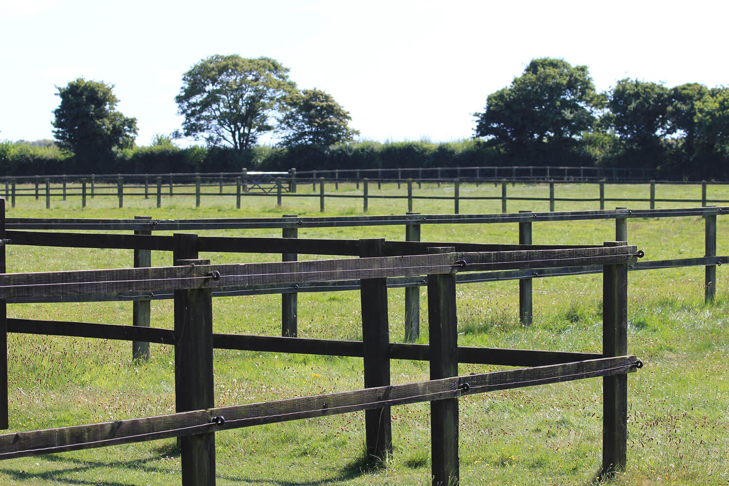 Post and rail fencing