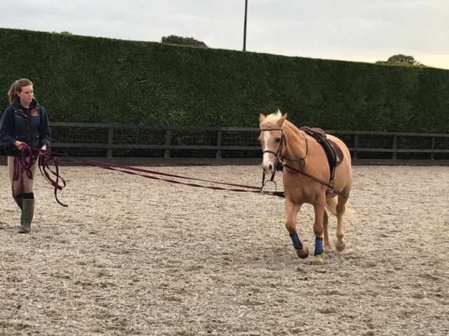 You and your horse can go through daily exercise programmes or train for an event in the riding arena